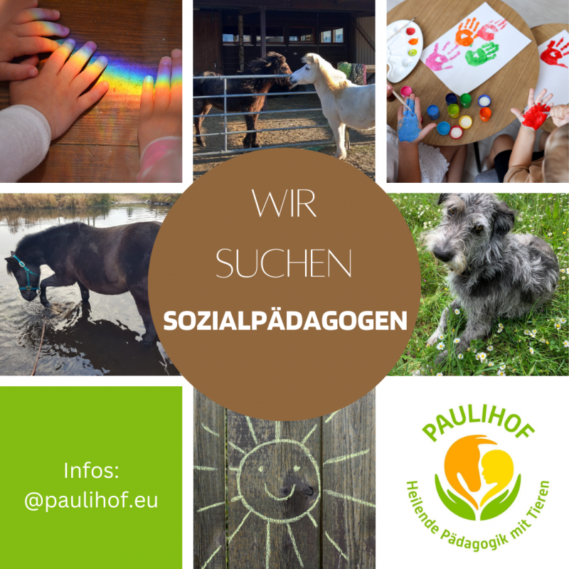 Paulihof-Wir suchen: Sozialpädagoge, Heilerziehungspfleger oder Erzieher (m/w/d) für unsere stationäre Einrichtung mit tiergestützter Therapie